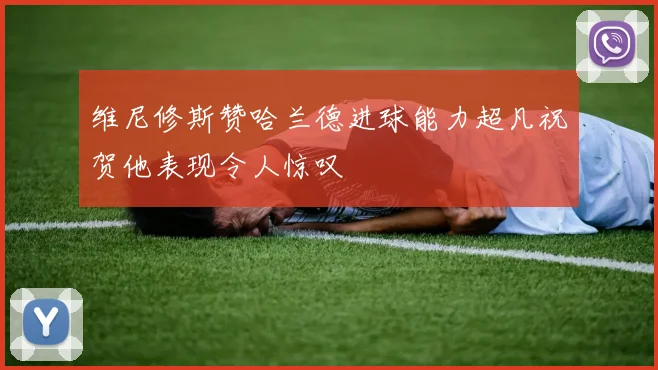 维尼修斯赞哈兰德进球能力超凡祝贺他表现令人惊叹